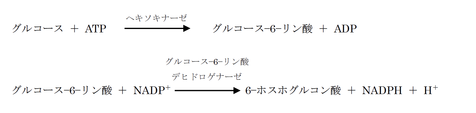 解説画像